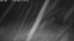 Pojezdová dráha, Runway