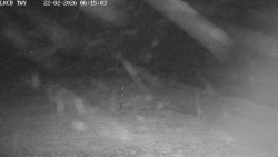 Pojezdová dráha, Runway