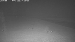 Pojezdová dráha, Runway