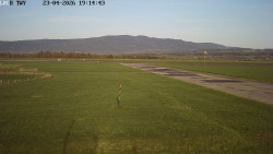 Pojezdová dráha, Runway