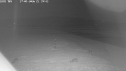 Pojezdová dráha, Runway