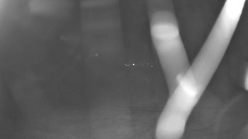 Snímek    13.9.2025 v 21:15