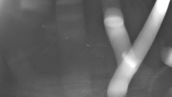 Snímek    13.9.2025 v 21:45