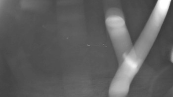 Snímek    13.9.2025 v 22:00