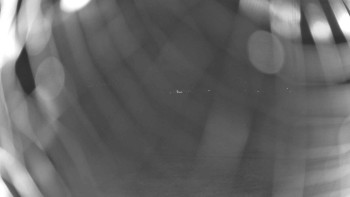 Snímek    30.9.2025 v 00:00