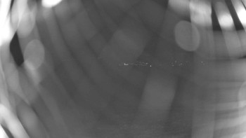 Snímek    30.9.2025 v 05:00