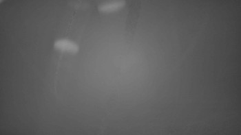 Snímek    24.10.2025 v 03:30