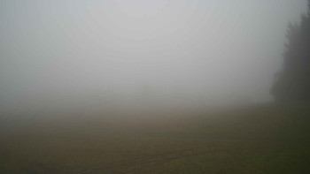 Snímek    29.10.2025 v 08:00