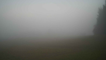 Snímek    4.11.2025 v 06:45