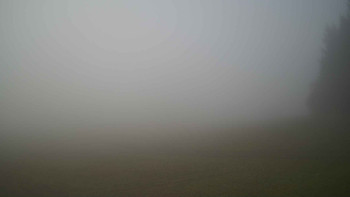 Snímek    4.11.2025 v 10:30