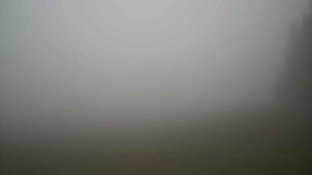 Snímek 9.11.2025 v 09:30