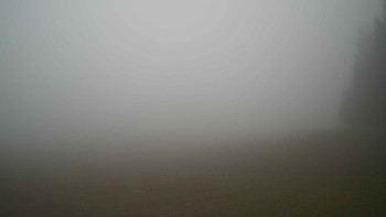 Snímek 9.11.2025 v 12:45