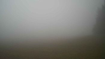 Snímek    9.11.2025 v 14:00