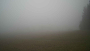 Snímek 9.11.2025 v 14:45