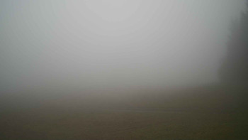 Snímek 10.11.2025 v 09:45