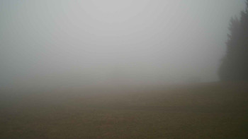 Snímek 15.11.2025 v 08:30