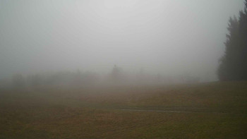 Snímek 17.11.2025 v 14:00