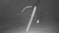 Pohled na sever, Krkonoše