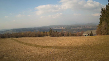 Zvičina