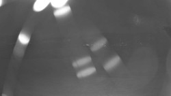 Pohled na sever, Krkonoše