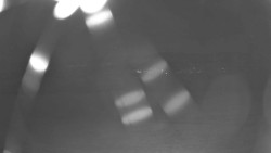 Pohled na sever, Krkonoše