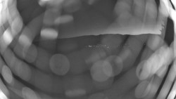 Pohled na sever, Krkonoše