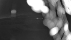 Pohled na sever, Krkonoše