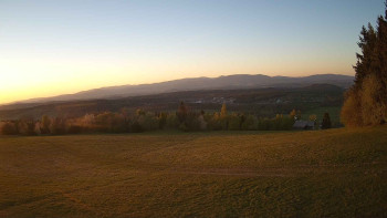 Zvičina