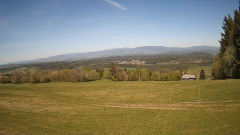 Zvičina