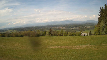 Zvičina