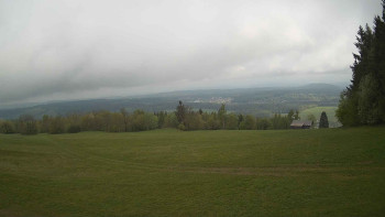 Zvičina