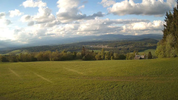 Zvičina