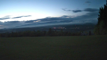 Zvičina