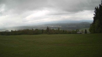Zvičina