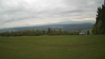 Zvičina