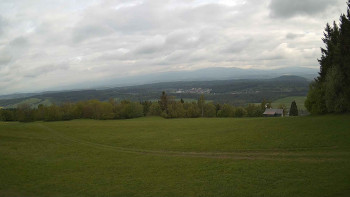 Zvičina
