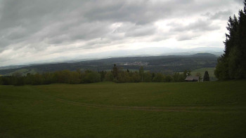 Zvičina