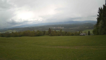 Zvičina
