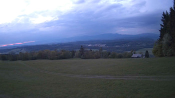 Zvičina
