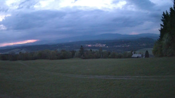 Zvičina