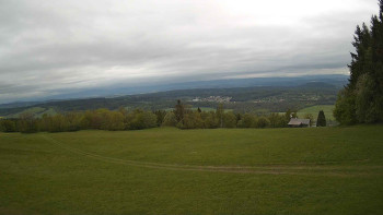 Zvičina