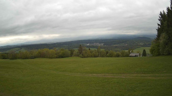 Zvičina