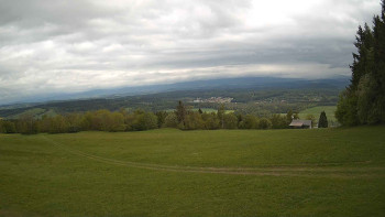 Zvičina