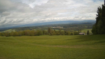 Zvičina