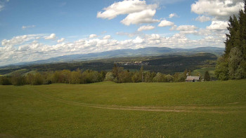 Zvičina