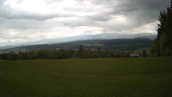 Zvičina