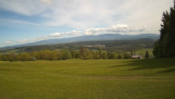 Zvičina