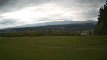 Zvičina