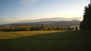 Zvičina
