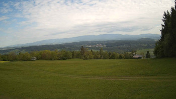 Zvičina